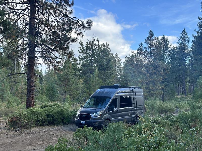 The van parked in a meadow surrounded by tall pines under a blue sky